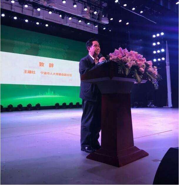 1545967131966731.jpg 7.jpg